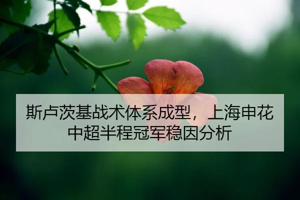 si-lu-ci-ji-zhan-shu-ti-xi-cheng-xing-shang-hai-shen-hua-zhong-chao-ban-cheng-guan-jun-wen-yin-fen-xi-2-618.jpg