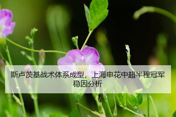 si-lu-ci-ji-zhan-shu-ti-xi-cheng-xing-shang-hai-shen-hua-zhong-chao-ban-cheng-guan-jun-wen-yin-fen-xi-3-257.jpg