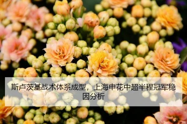 斯卢茨基战术体系成型，上海申花中超半程冠军稳因分析