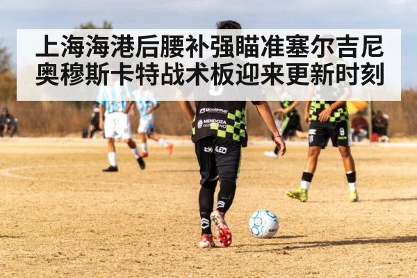 上海海港后腰补强瞄准塞尔吉尼奥穆斯卡特战术板迎来更新时刻