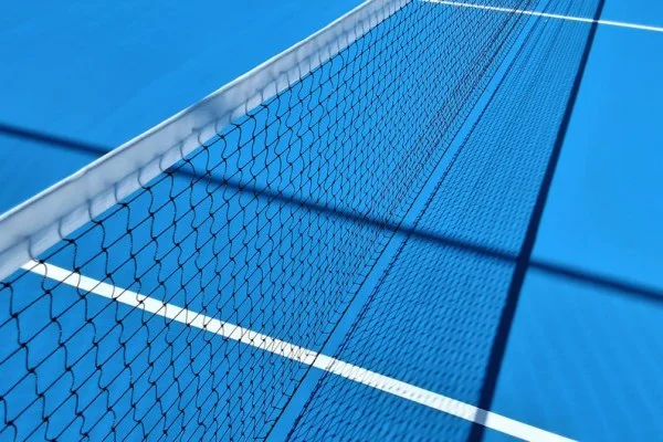 ATP巴黎大师赛辛纳对德约科维奇室内硬地争冠关键胜负手全面解析